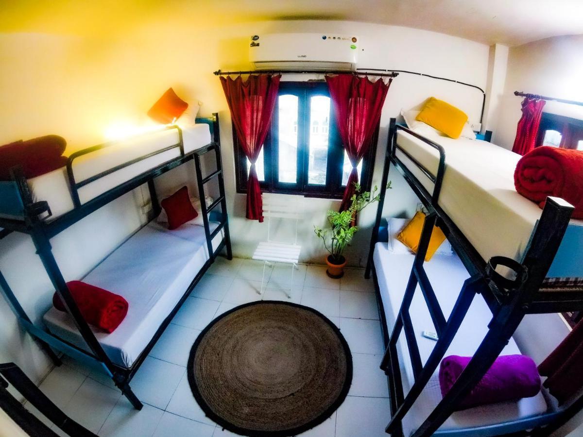 The Hostel Crawl Udaipur Exterior foto