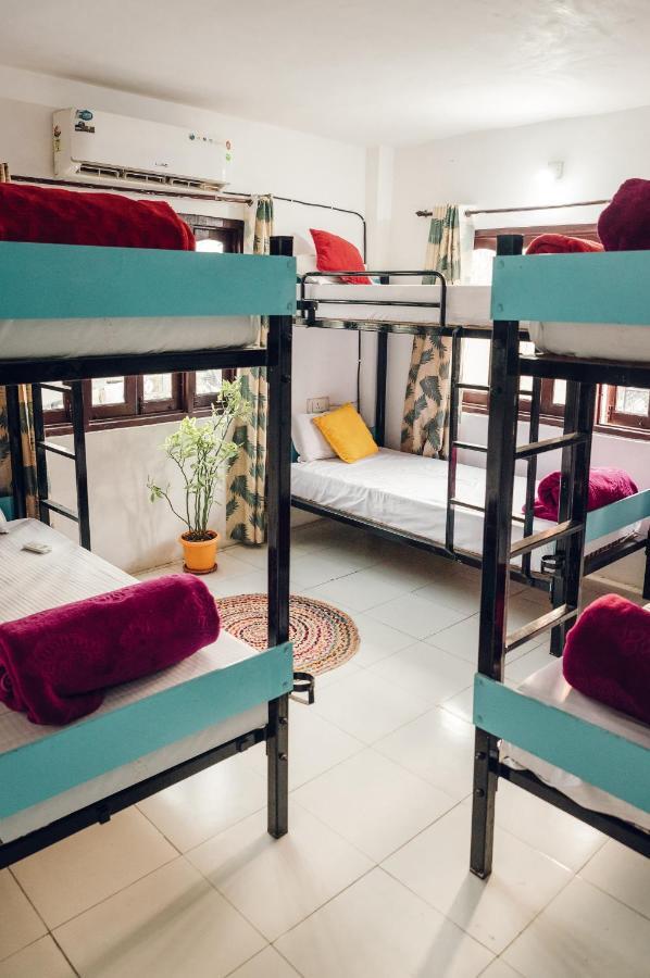 The Hostel Crawl Udaipur Exterior foto